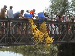 Scouts Annual Duck Race