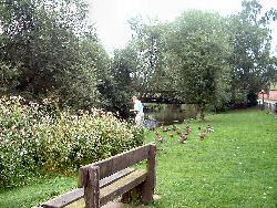 Mill Stream Maintained by Civic Society